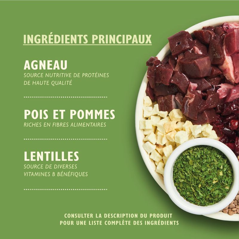 Lily's Kitchen Adult agneau pour chien