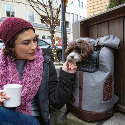 Kurgo Hunderucksack K9 in Grau für Hunde bis 11.3kg