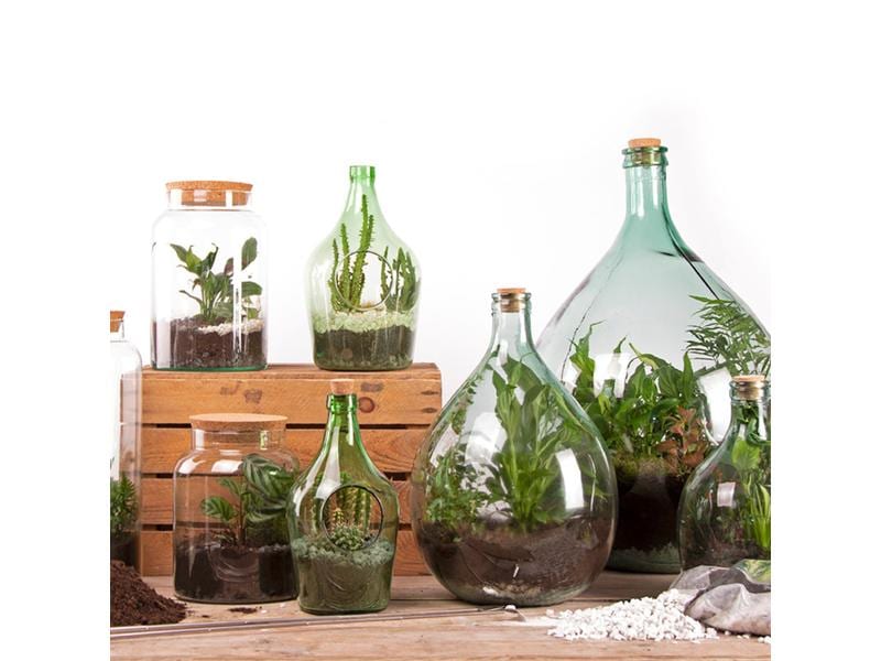 Esschert Design Terrarium-Flasche S, 18.5 x 26.3 cm Pflanzen-Terrarium Flasche