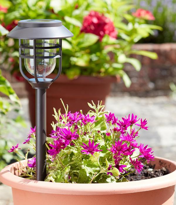 Smart Garden Solar-Pfahlleuchte Avant 5er-Set,