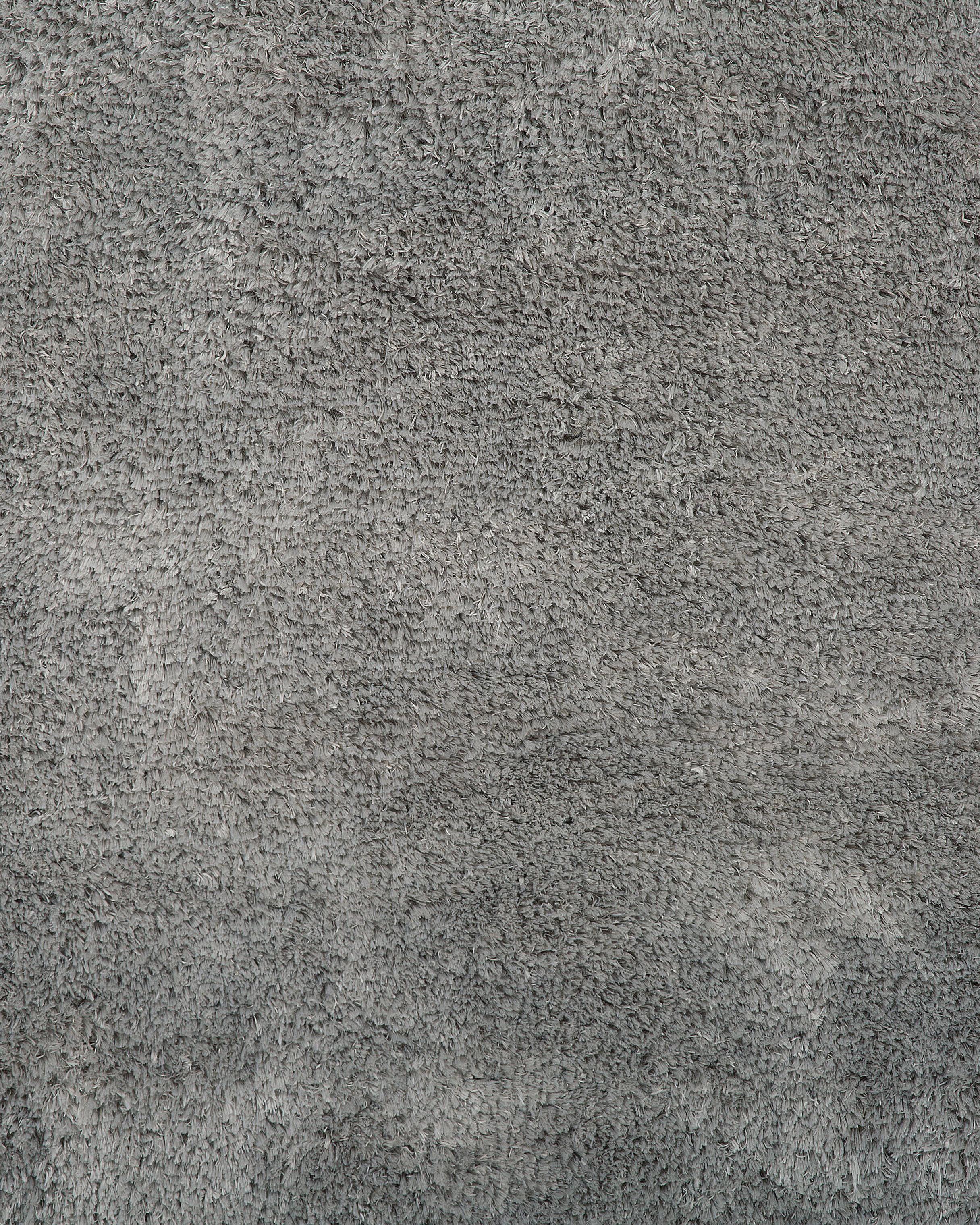 Hoogpoligvloerkleed EVREN Lichtgrijs 200 x 300 cm