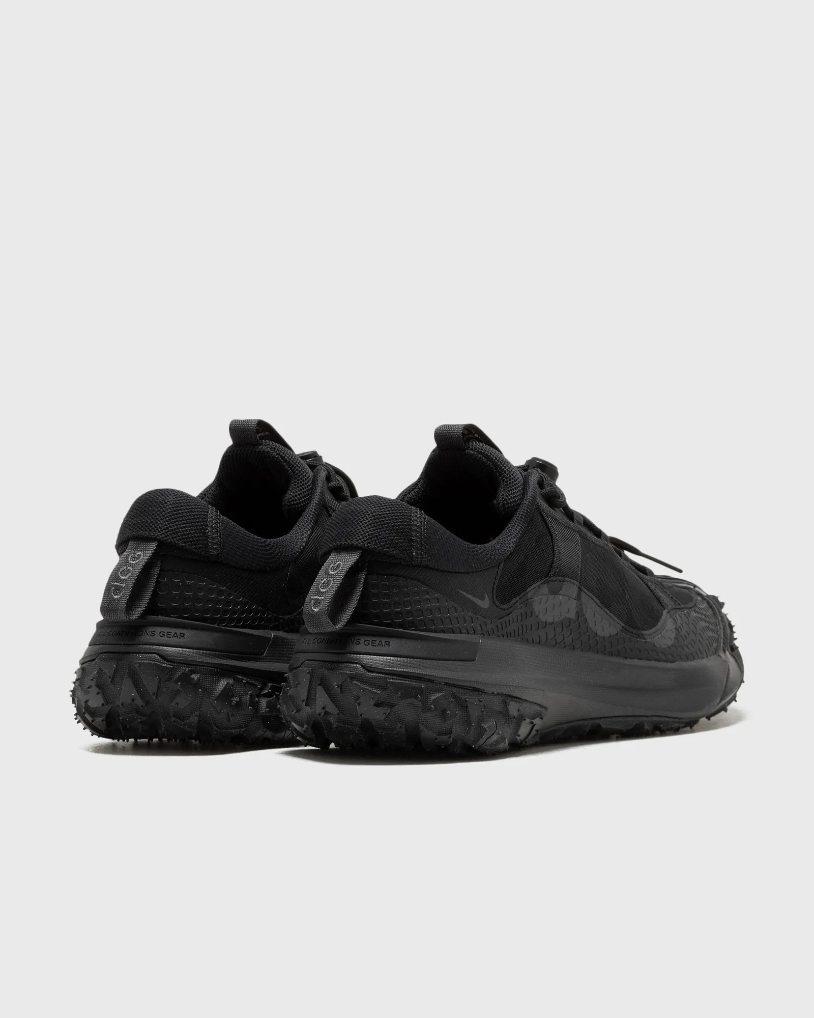 Nike ACG MOUNTAIN FLY 2 LOW