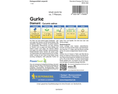 Pickling cucumber Diamant Kiepenkerl PowerSaat hybrid seeds vegetable seeds