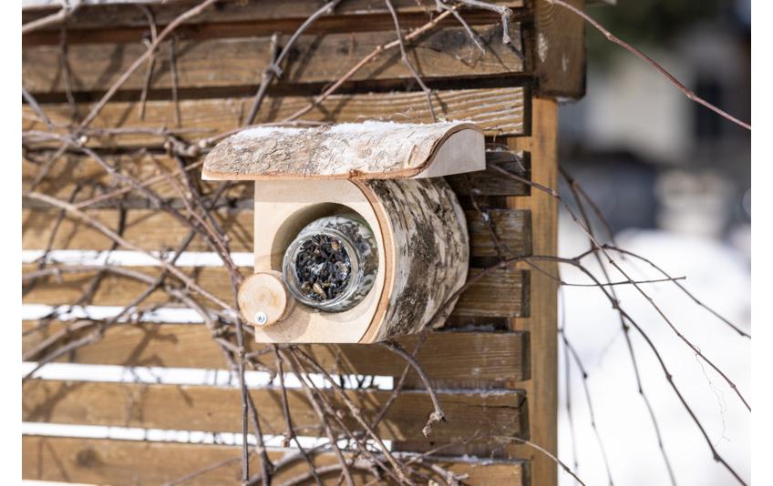 Erdnussbutterglas-HalterGartenvögel mit Futtergläsern unterstützen