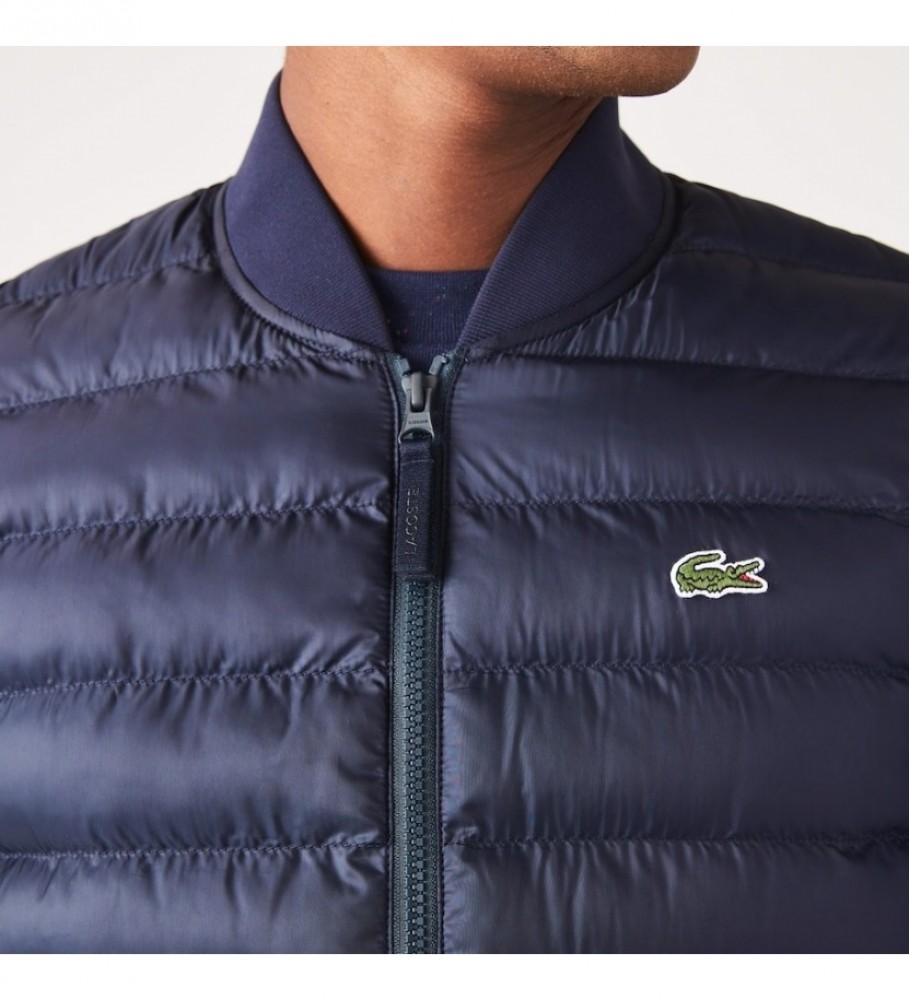 Colete acolchoado azul-marinho Lacoste
