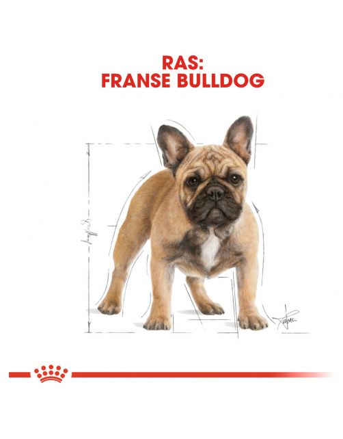 Royal Canin French Bulldog Adult - Hondenvoer