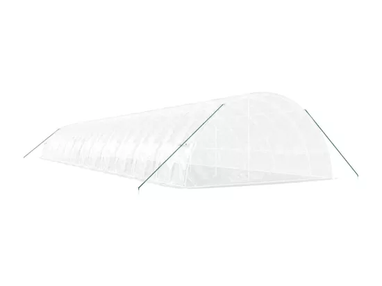 Serre tente abri plante blanche 24 x 6 x 31079 cm 02_0044547