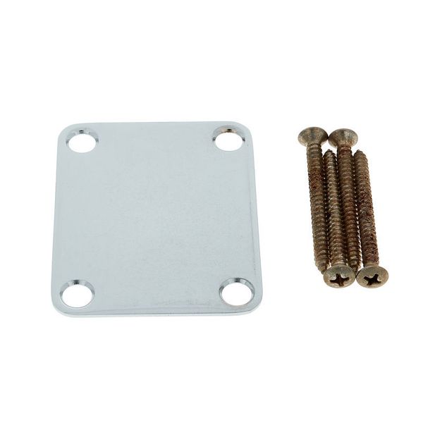 Fender Roadworn Guitar Neck Plate