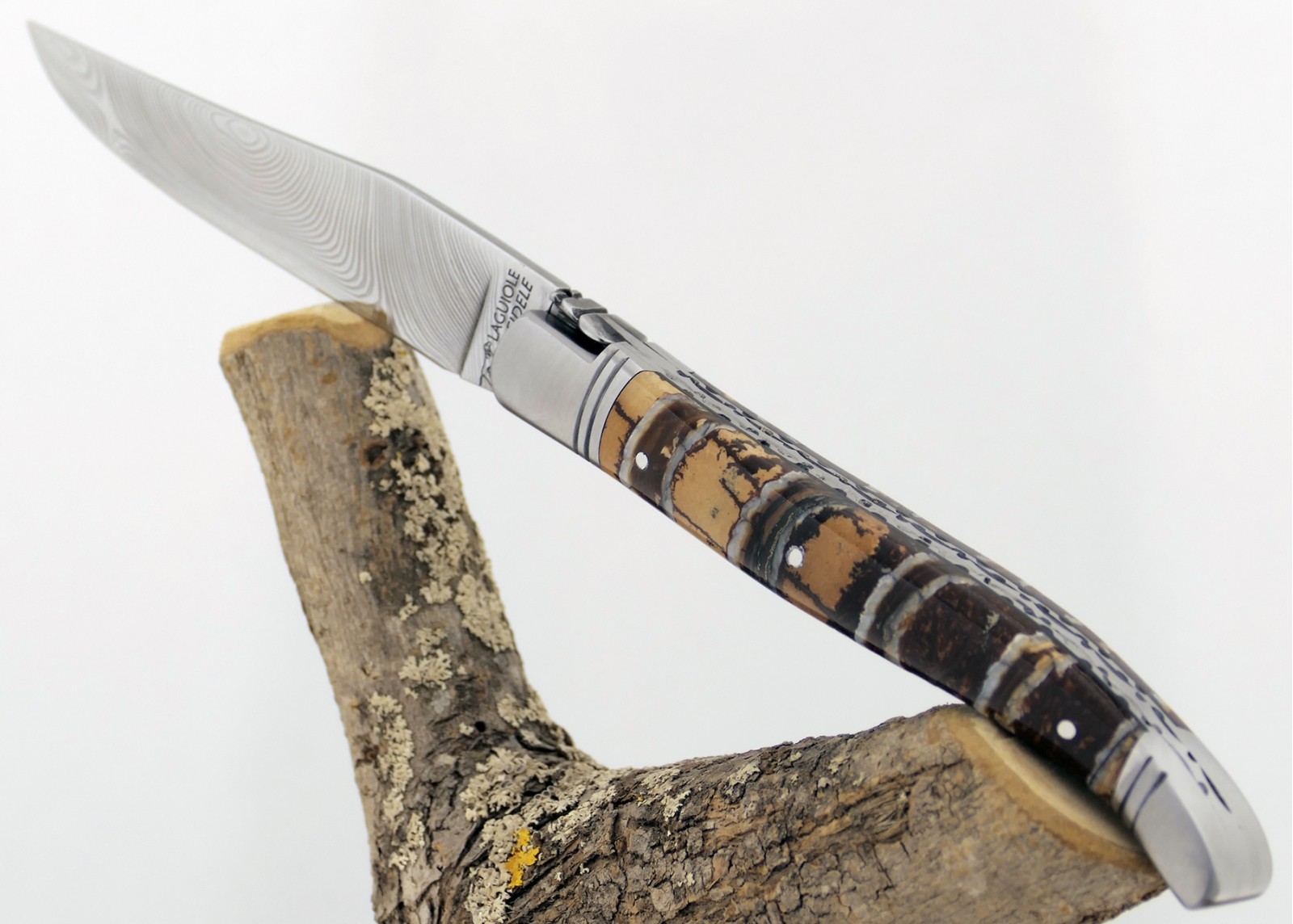 Couteau Laguiole avec un manche en Molaire de Mammouth Fossile