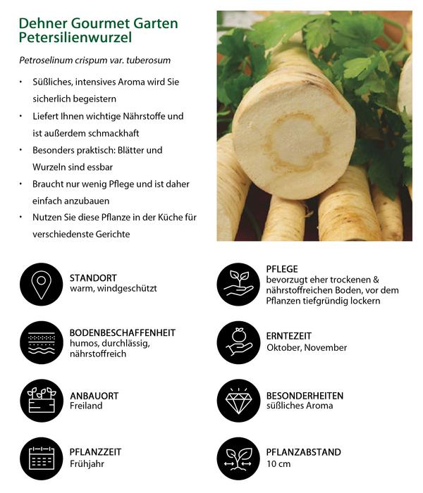 Dehner Gourmet Garten Petersilienwurzel