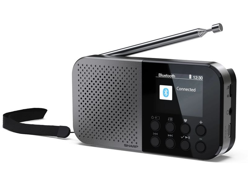 Sharp DAB  Radio DR-P520 Grau Tragbares DAB  Handradio mit RDS