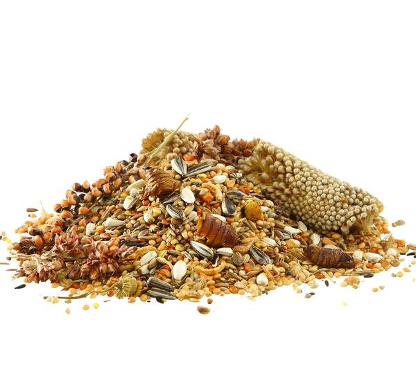 Dehner Best Nature Vogelfutter Großsittiche