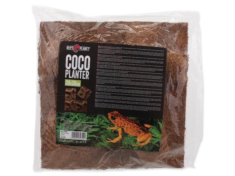 Repti Planet Coco Pflanzgefäss 30 x 30 cm Natürliche Rückwand mit integriertem Pflanzentopf