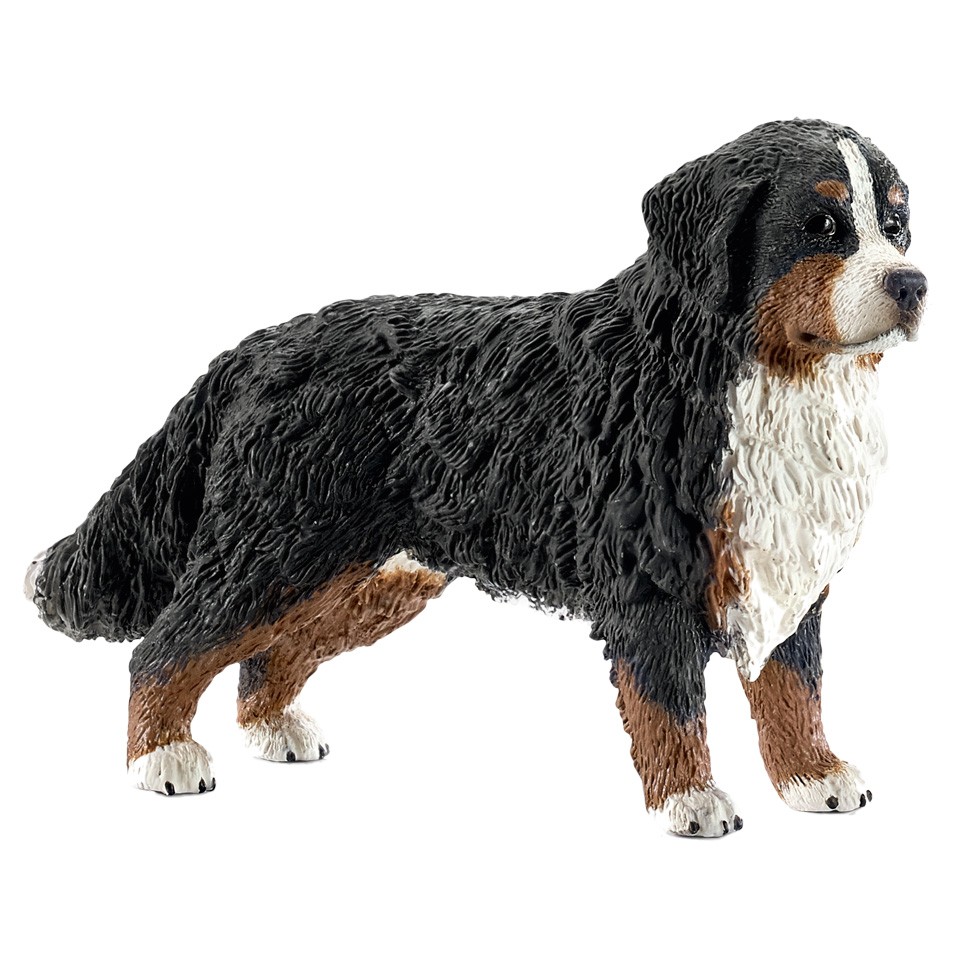 schleich FARM WORLD Berner Sennenhond vrouwtje 16397