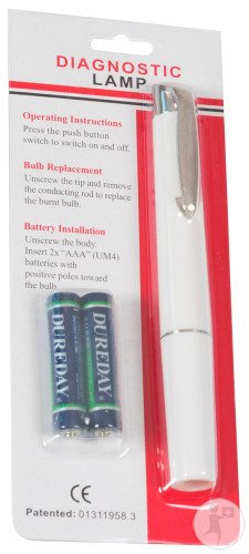 Lampe Stylo Lampe De Diagnostic + 2 Piles AAA 1 Set