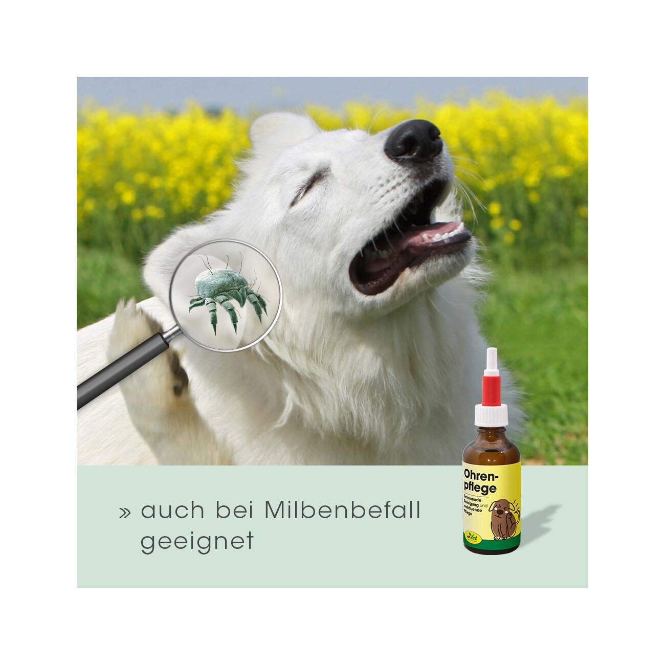 cdVet Ohrenpflege