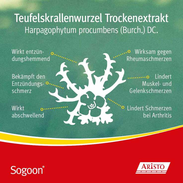 Sogoon Teufelskralle 480 mg Filmtabletten , 50 St