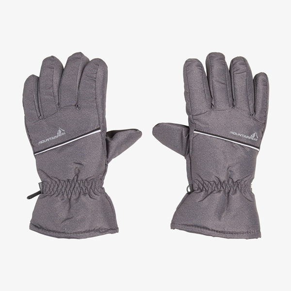 Mountain Peak heren skihandschoenen grijs