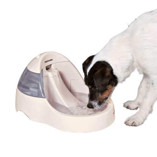 Bebedouro automático para animais de estimação, cor creme