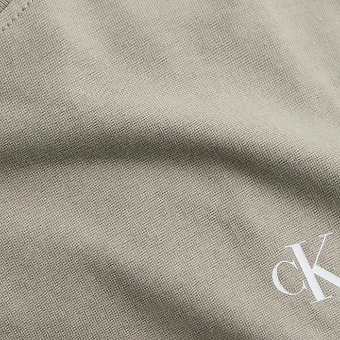 Calvin Klein Painted Backlogo Shirt Heren