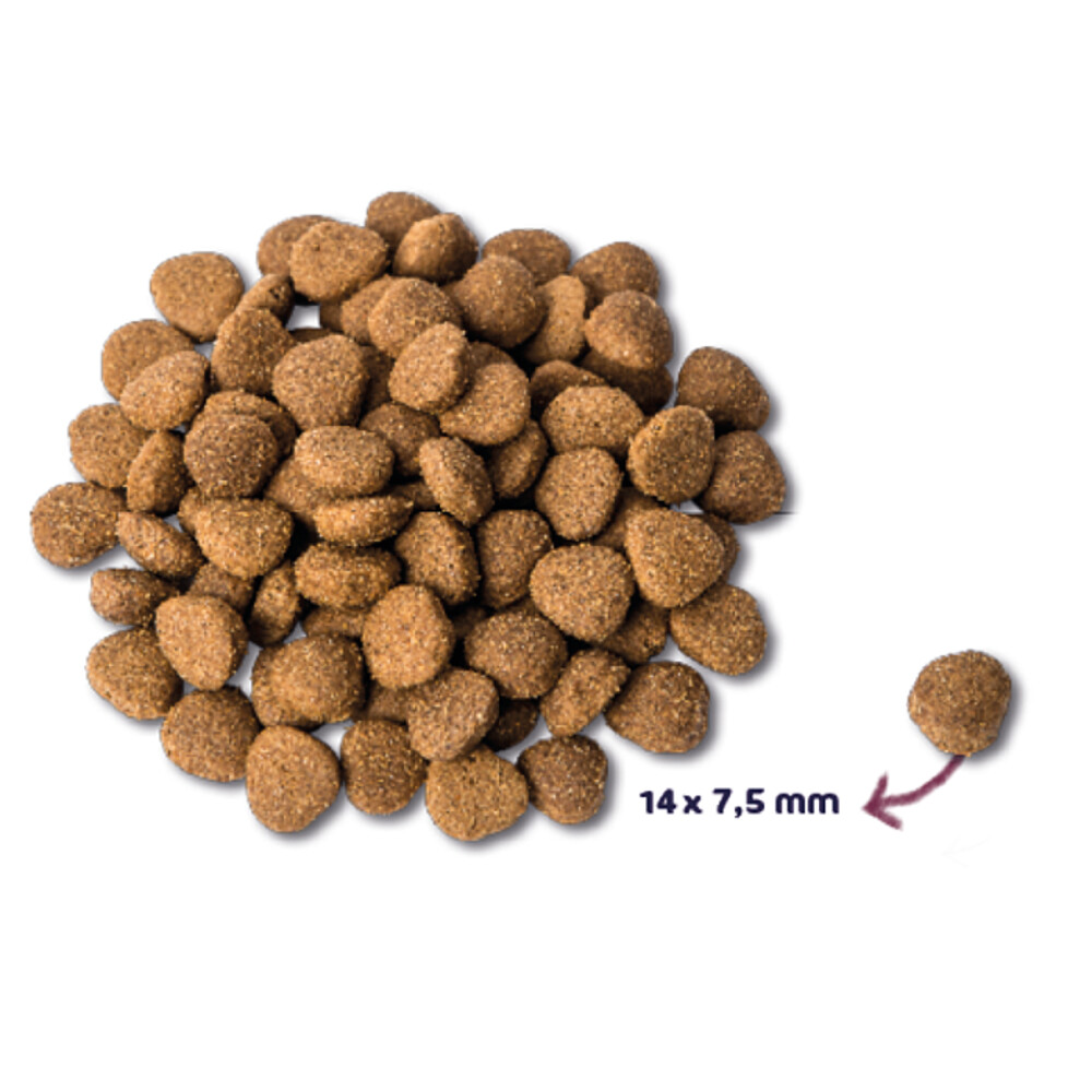 Renske Super Premium Adult Kalkoen - Eend2 kg