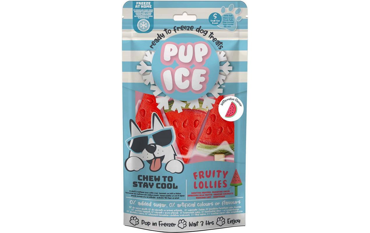 Leckerli Fruity Lollies Melone, 3 Stück, 90gHunde-Eis für heisse Tage