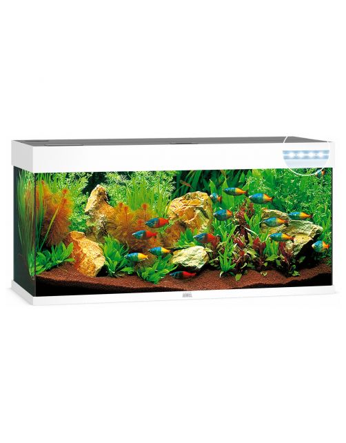 Juwel Aquarium Rio 240 Led 121x41x50 cm - Aquaria