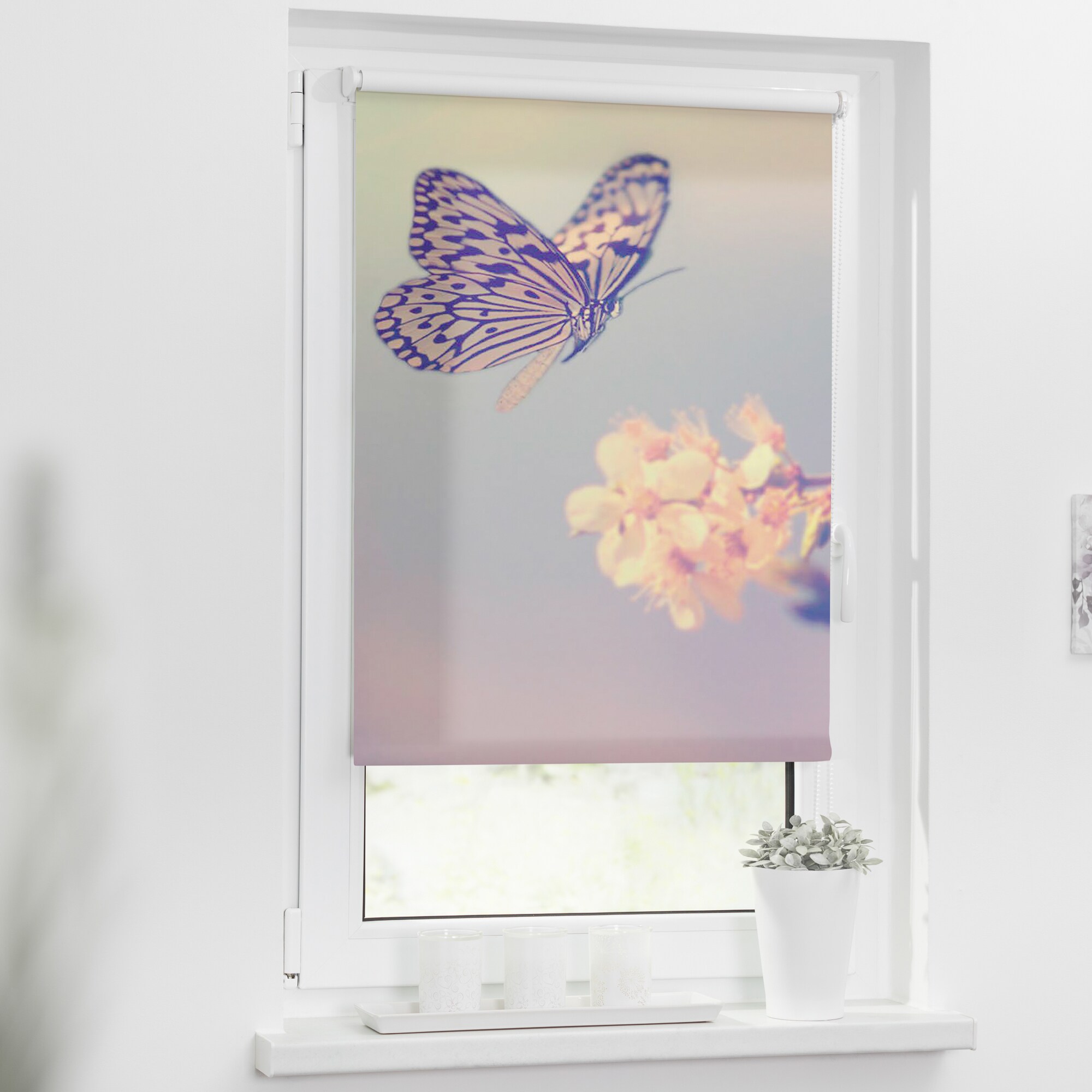 Lichtblick Rollo Klemmfix, ohne Bohren, blickdicht, Schmetterling - Rosa