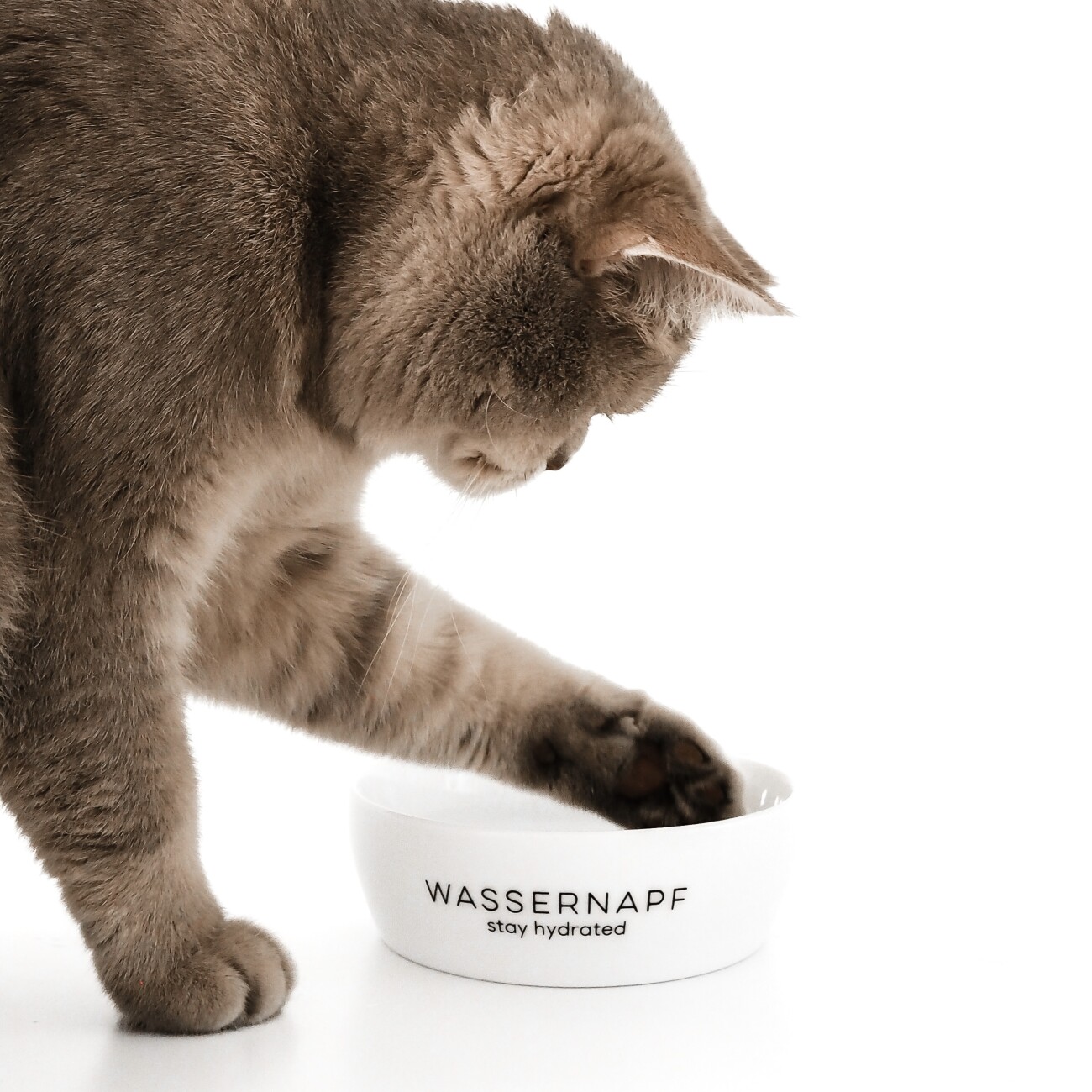 Minty&Marla Katzennapf Keramiknapf, Wassernapf, 350ml