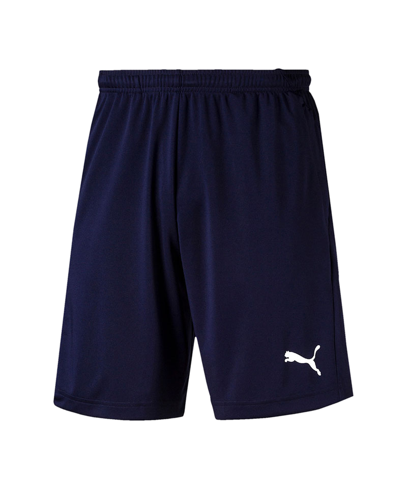 PUMA LIGA Training Short Dunkelblau Weiss F06