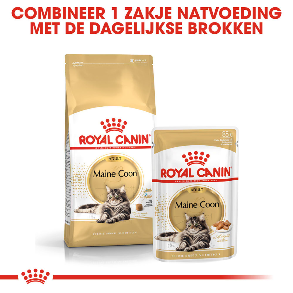 Royal Canin Maine Coon Adult Wet - Kattenvoer