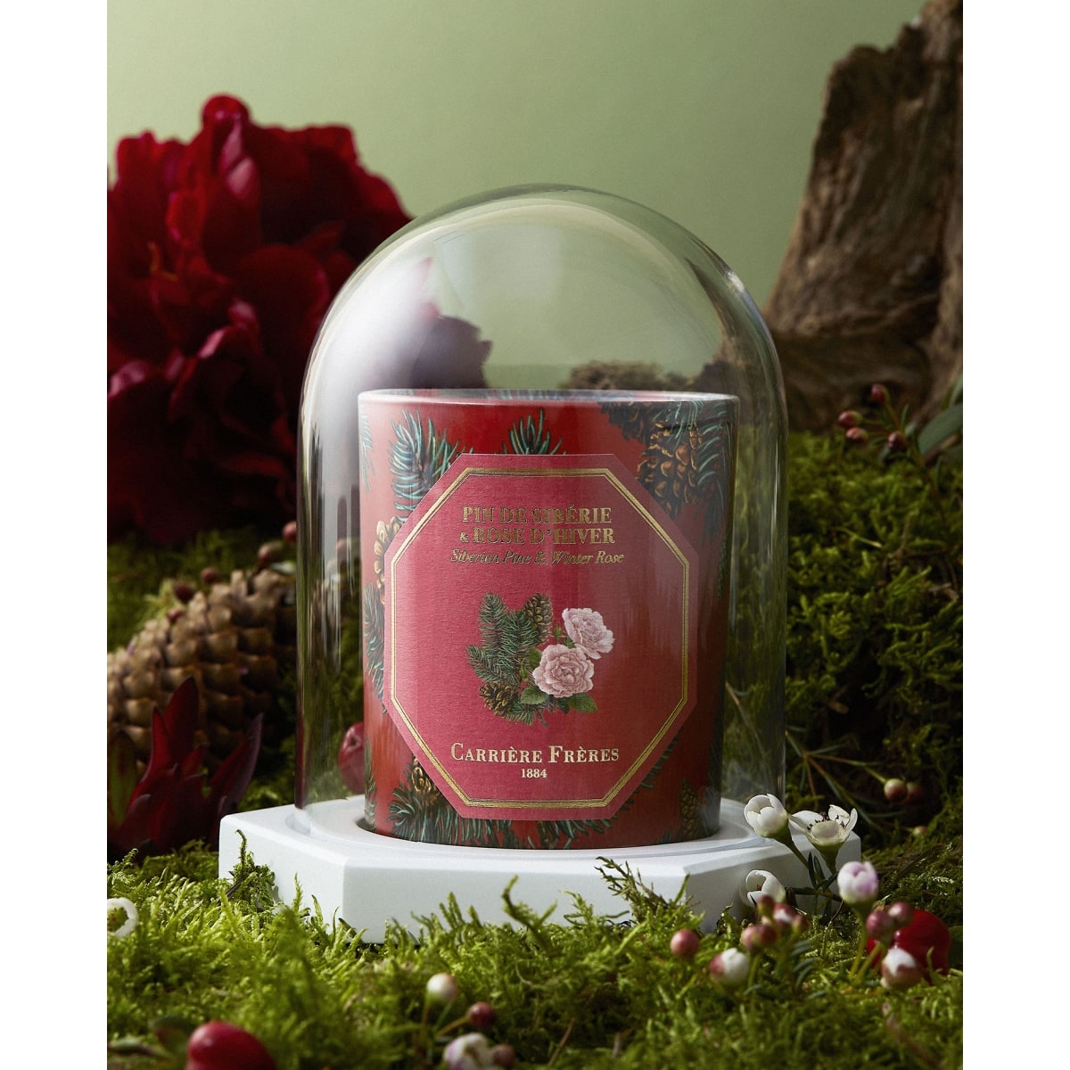 CARRIÈRE FRÈRES Le Dome - Socle &  Cloche Coffret Accessoires