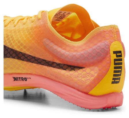 Chaussures Athlétisme Puma evoSPEED Distance Nitro Elite  4 Orange Rose Homme