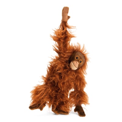Kösener Orang-Utan