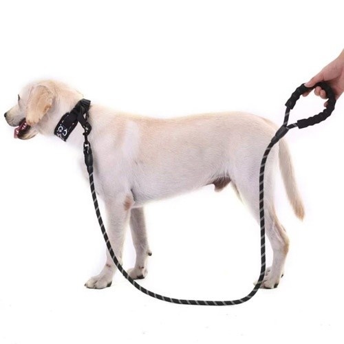 Coleira para cães MyPetCare, preta