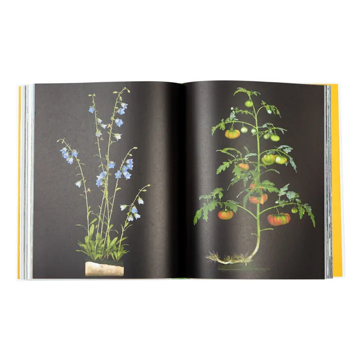 Gestalten Evergreen living with plants - EN