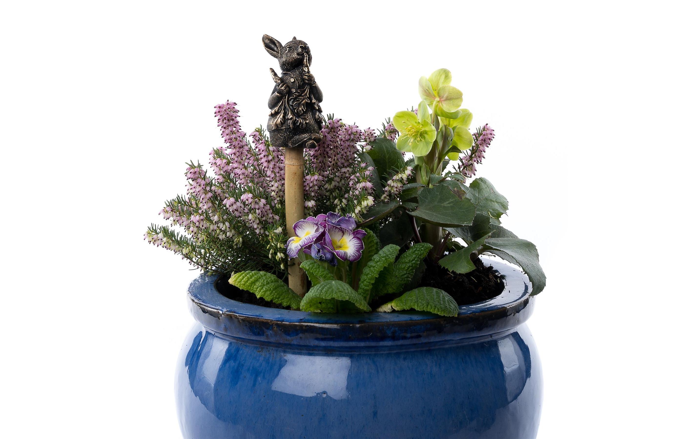 Cane Companions Peter RabbitDekoration für Pflanzentöpfe
