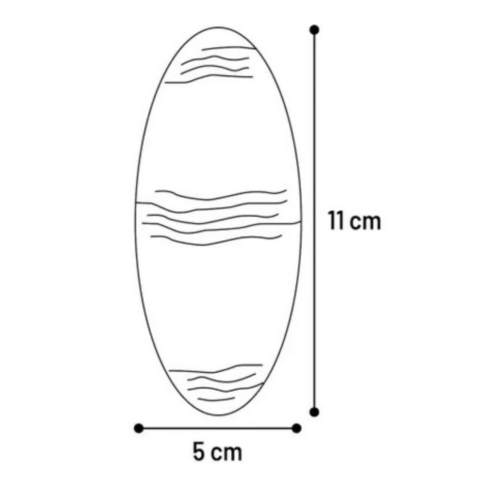 2 os de seiche blanc 11 cm avec support pour oiseaux