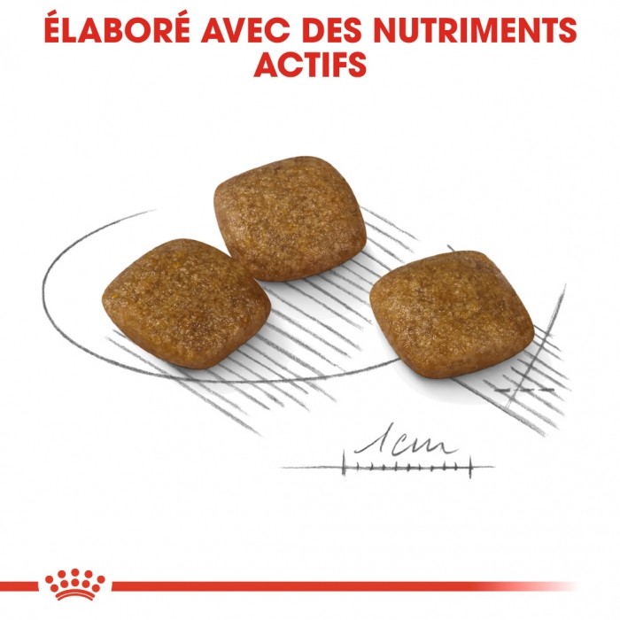 Royal Canin Mini Relax Care - Croquettes pour chien