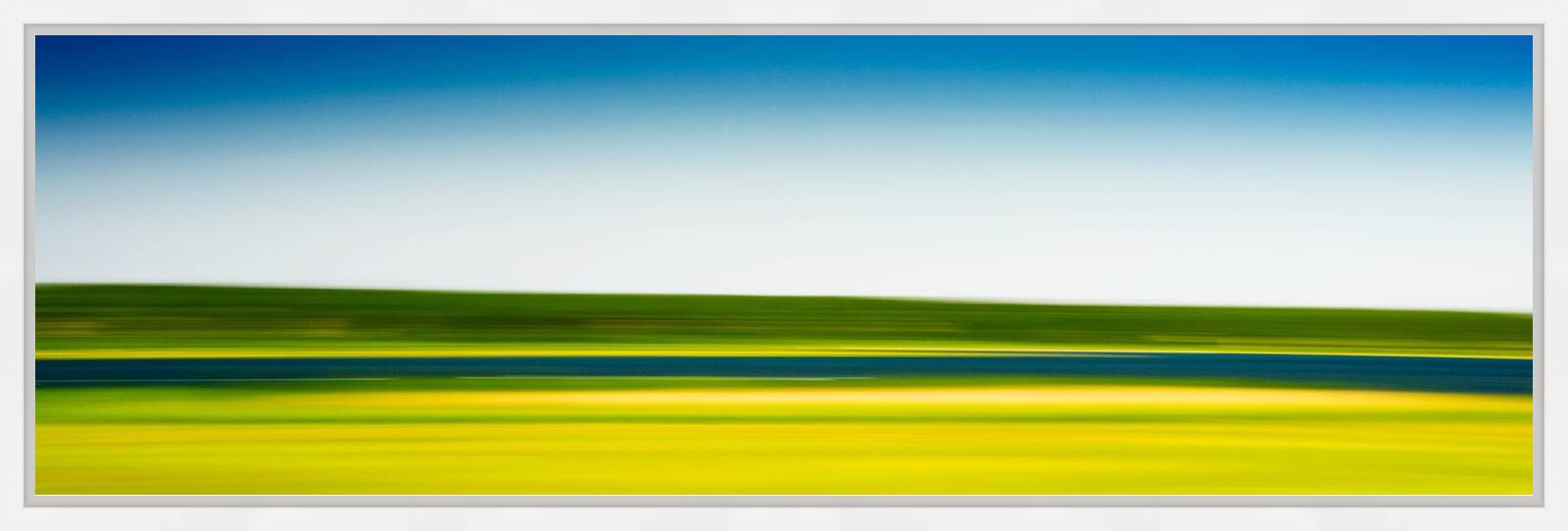 Senge by Alison Shaw - Limited Edition. Edition of: 150. Signed.