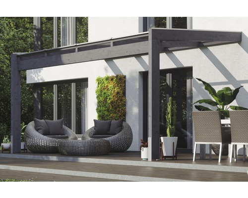 SKAN HOLZ Novara terrasoverkapping met paalbeugels 450x259 cm grijs