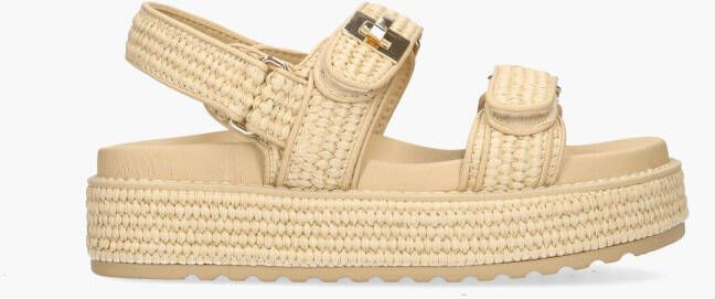 Steve Madden Bigmona Nat Raffi Dames Sandalen SM11003034-02002