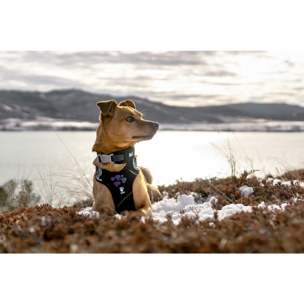 Hurtta Weekend Warrior Harness Zwart45 - 60 cm