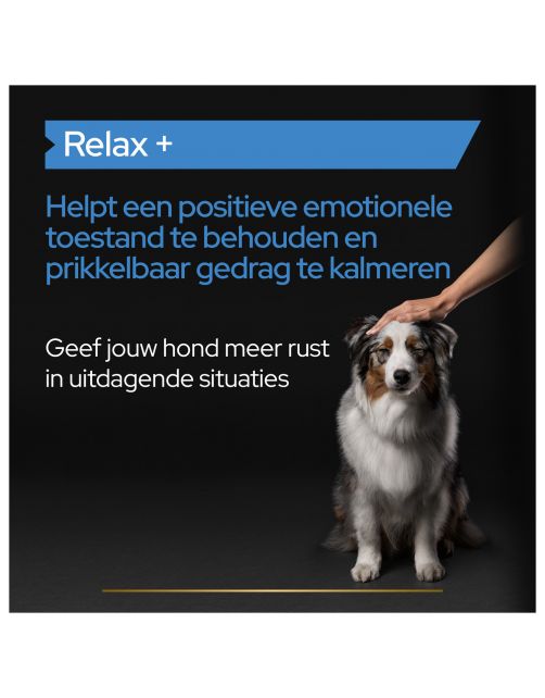 Pro Plan Relax Supplement Olie - Voedingssupplement - 250 ml
