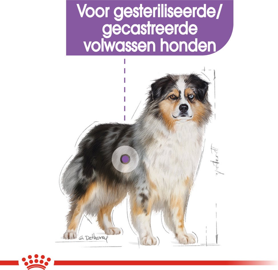 Royal Canin hondenvoer Sterilised Medium 3 kg
