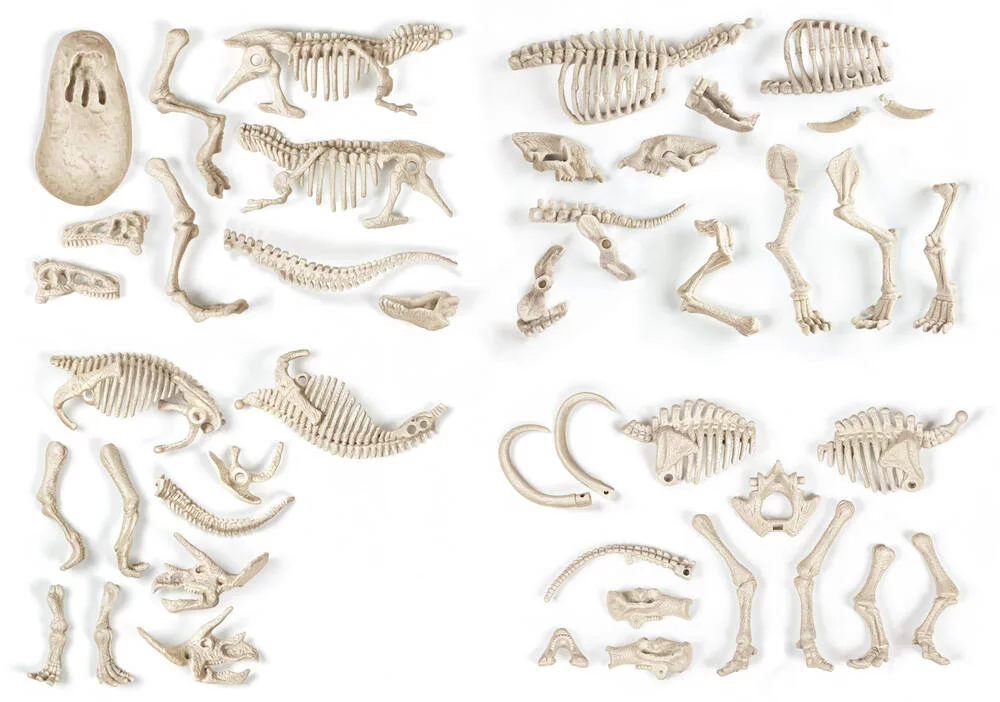 SCIENCE & JEU ARCHEO - LUDIC PROIES ET PREDATEURS