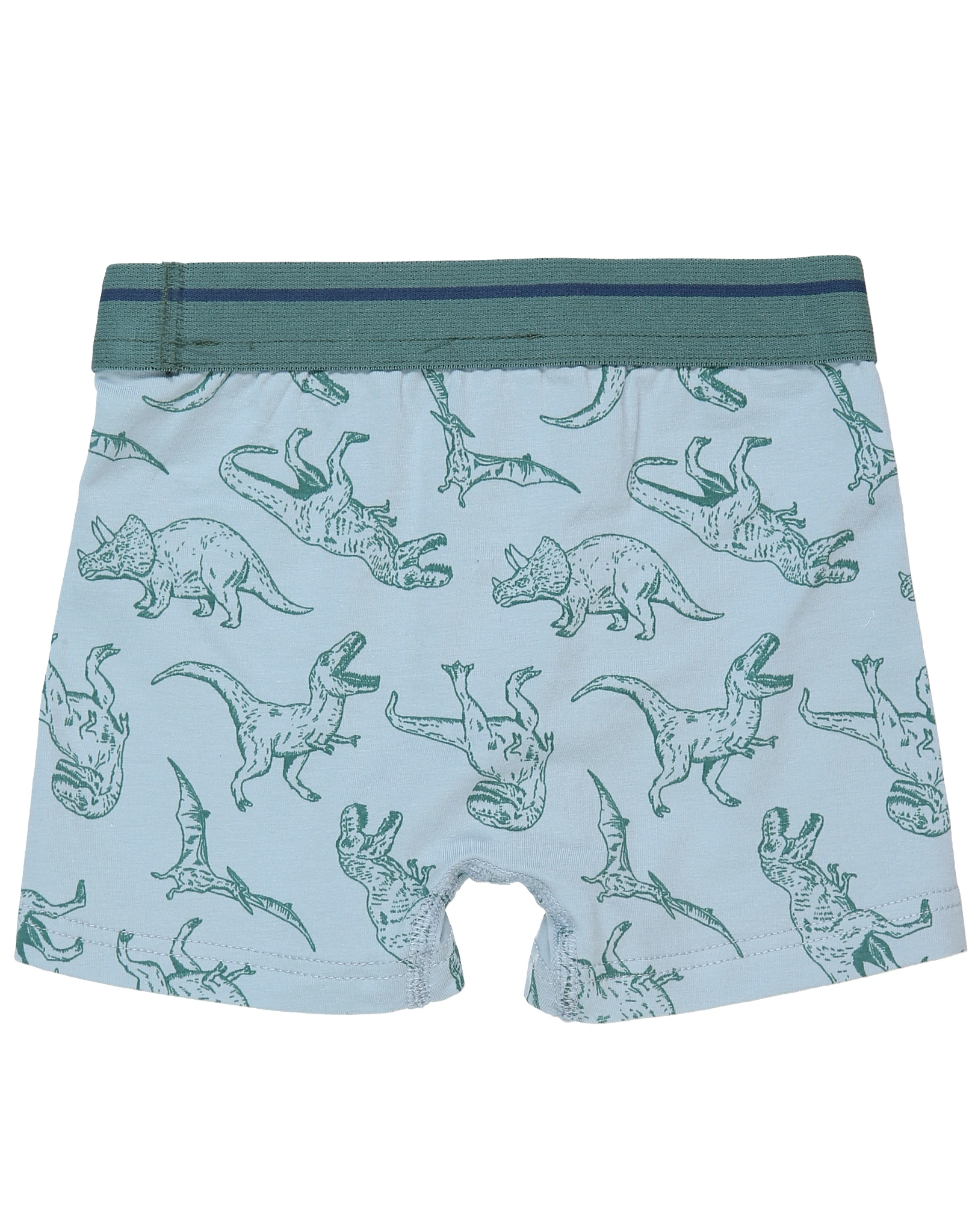 Boxershorts DINO 2er-Pack in blau/grün