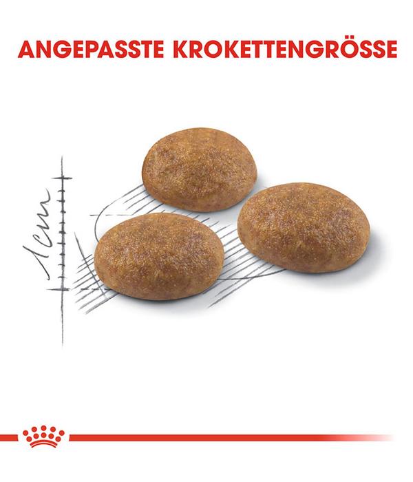ROYAL CANIN® Trockenfutter für Katzen