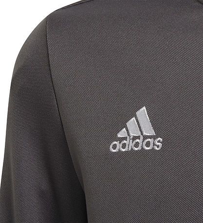 adidas Performance Bluse - ENT22 TR TOPY - Gr?/Hvid