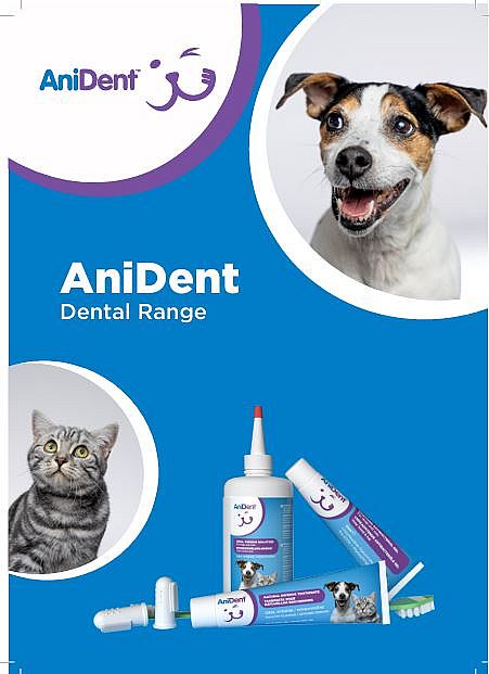 Anident Vingertandenborstel Hond Kat 20 stuks | 15440